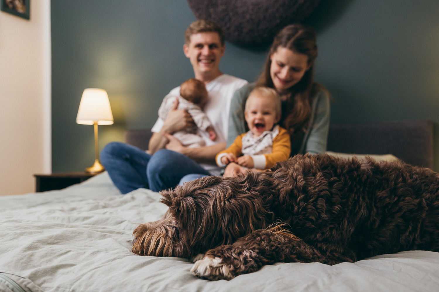 Familienfotos mit Baby und Hund zuhause im Schlafzimmer