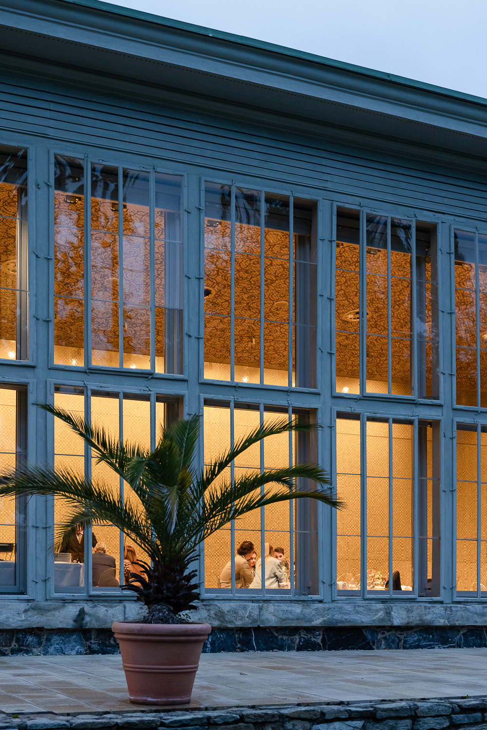 Palme und Orangerie in der blauen Stunde